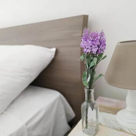 Vigna Marina Apartment